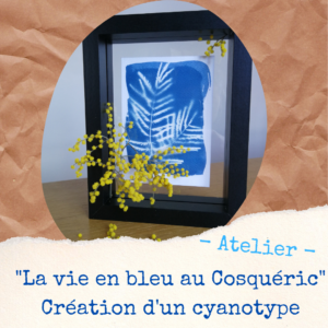 atelier-cyanotype-la-vie-en-bleu-l-artelier-de-cloth-carte-postale-potager-du-cosqueric